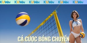 Cá Cược Bóng Chuyền