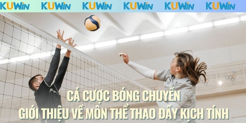 Cá cược bóng chuyền - Giới thiệu về môn thể thao đầy kịch tính
