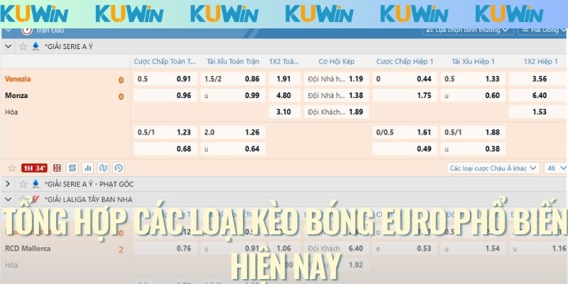 Tổng hợp các loại kèo bóng Euro phổ biến hiện nay