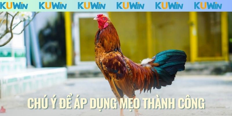 Chú ý để áp dụng mẹo thành công