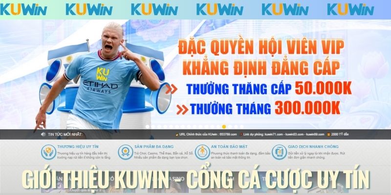 Giới thiệu KUWIN - Tổng quan điểm đến số 1 cho tín đồ cá cược