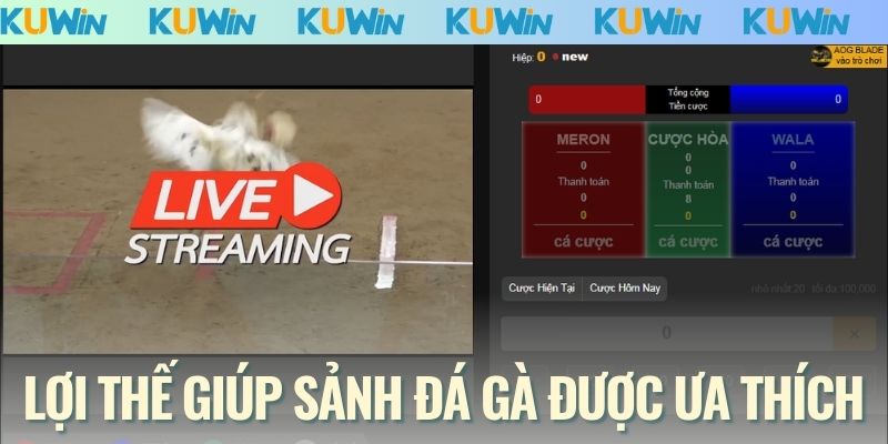 Lợi thế giúp sảnh đá gà được ưa thích
