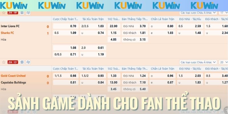 Sảnh cá cược thể thao chuyên nghiệp