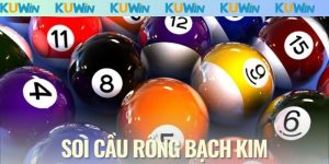 Soi Cầu Rồng Bạch Kim