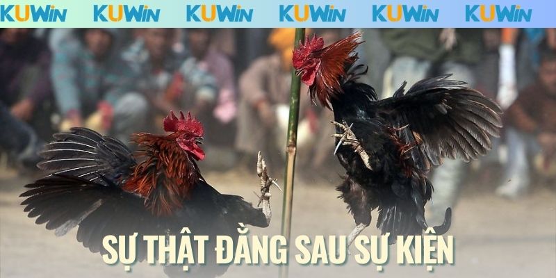 Sự thật đằng sau sự kiện