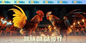 Trận Đá Gà 10 Tỷ